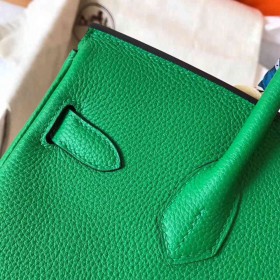 Hermes Birkin 30 Handmade Bag In Bambou Clemence Leather