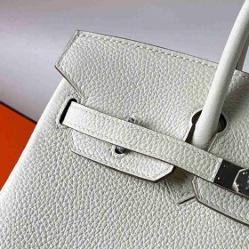 Hermes Birkin 25 Handmade Bag In Mushroom Clemence Leather