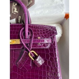 Hermes Birkin 25 Handmade Bag in Raisin Crocodile Niloticus Shiny Skin