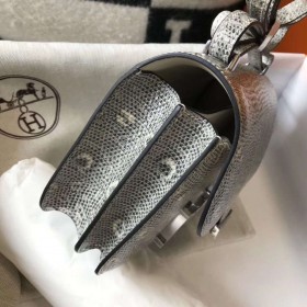 Hermes Constance 18 Handmade Bag In Ombre Embossed Natural Lizard
