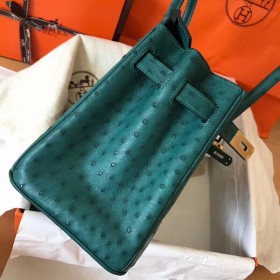 Hermes Birkin 30 Handmade Bag In Green Ostrich Skin