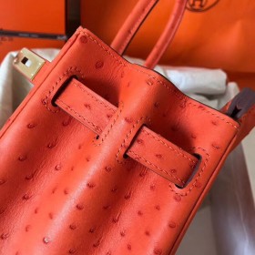 Hermes Birkin 30 Handmade Bag In Orange Ostrich Skin