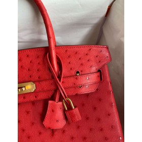 Hermes Birkin 30 Handmade Bag In Red Ostrich Skin
