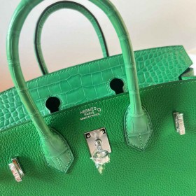 Hermes Touch Birkin 25 Bag in Bambou Clemence and Shiny Alligator Leather